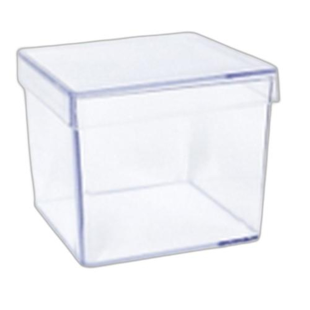 Detalhes do produto X Caixa Acrilico 5X5 Pc10Un Pascoal Aleg Cristal