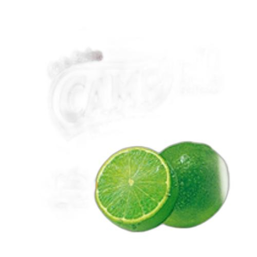 Detalhes do produto Refrc Camp Faz 10Litros 150Gr Gb Br Limao