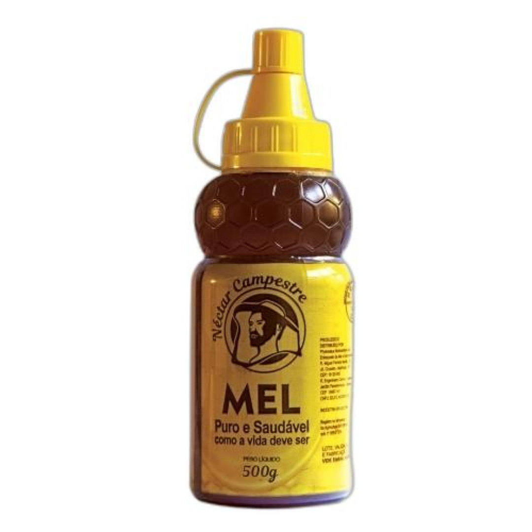 Detalhes do produto Mel Puro E Saudavel 500Gr Phytonatus Puro