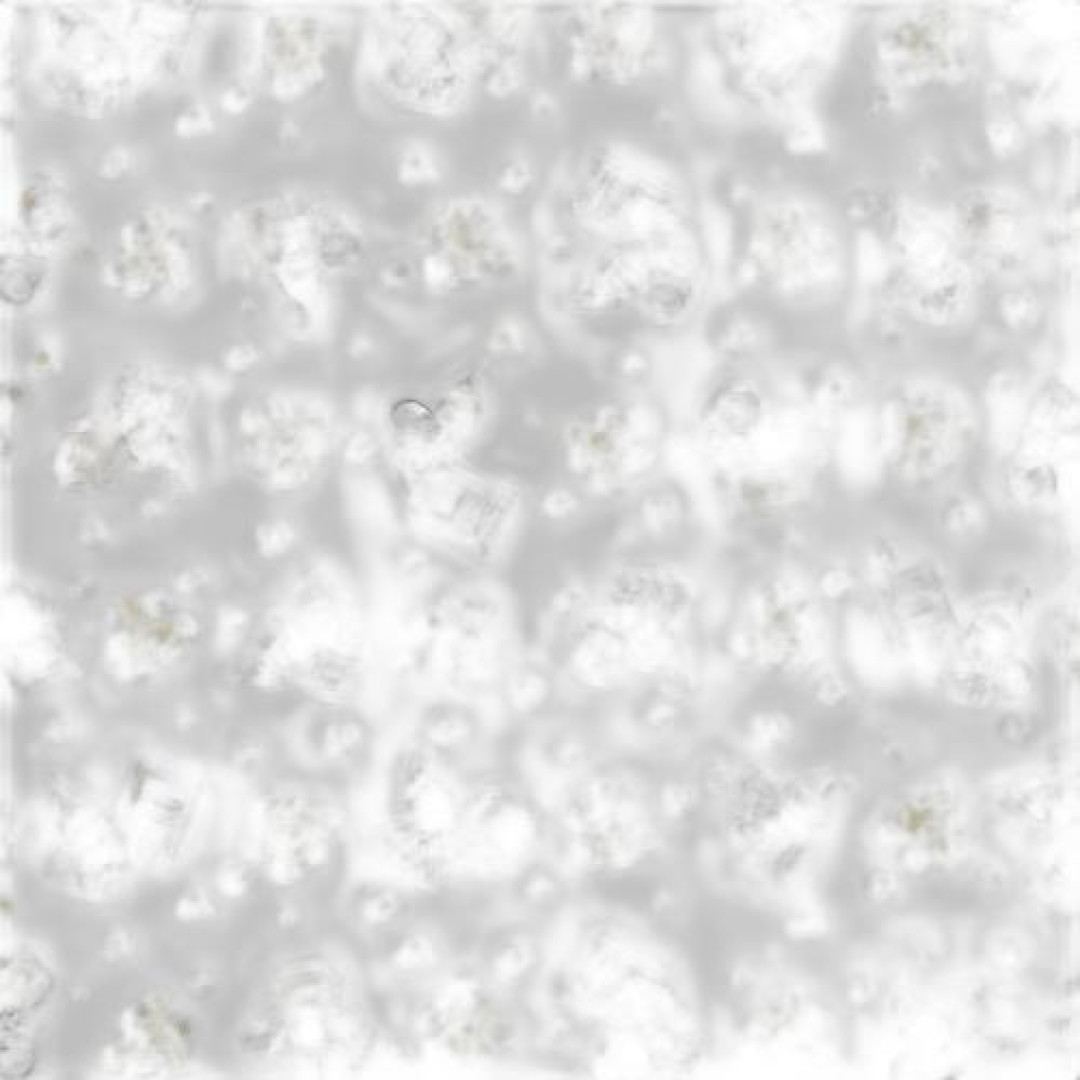 Detalhes do produto X Saco Decor Abelhinha 10X14 50Un Packp Transparente